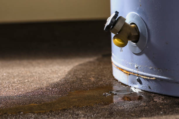 Best 24/7 water damage repair  in Wailea, HI