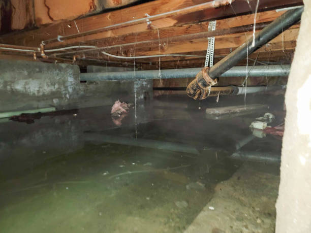 Best Commercial water damage restoration  in Wailea, HI