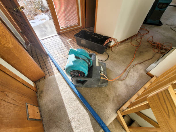 Carpet water damage restoration in Wailea, HI