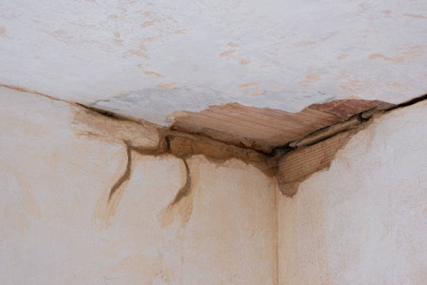 Best Mold removal after water damage  in Wailea, HI