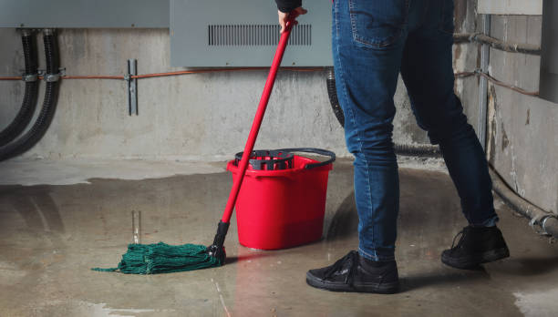 Best 24/7 water damage repair  in Wailea, HI