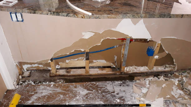 Best Water damage restoration near me  in Wailea, HI