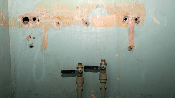 Best Flooded house restoration  in Wailea, HI