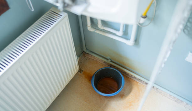 Best Water damage restoration specialists  in Wailea, HI
