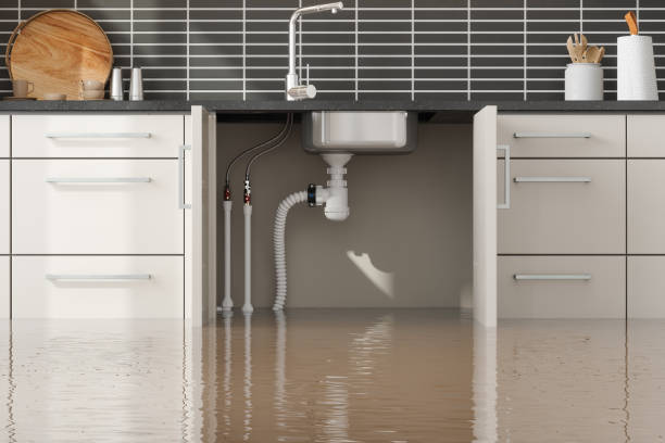 Best Water damage contractors near me  in Wailea, HI