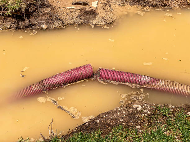 Best Flood restoration services  in Wailea, HI